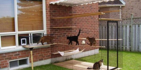 Направи си сам волиера за котки в страната - дизайнерски характеристики